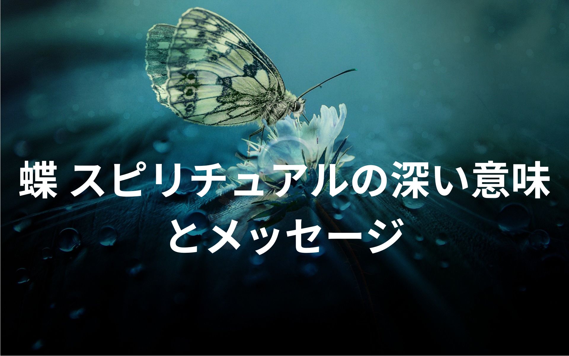 蝶 スピリチュアルの深い意味とメッセージ｜心地よい気持ち